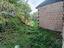 Immagine 9