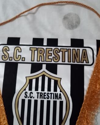 trestina calcio gagliardetto 
