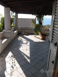 FALL 3/2014 Trib Barcellona PG - LOTTO 19