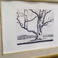 Acquaforte originale Gino Guida "Albero"