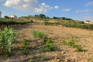 Lotto terreno edificabile