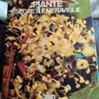 libro,piante segreti e meraviglie , di Giunti marz