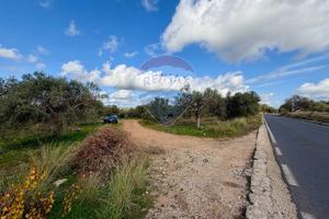 Terreno - Chiaramonte Gulfi