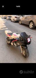 minimoto malossi