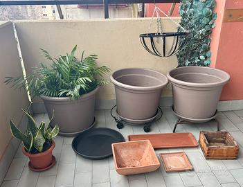 16 pz. a 50 € vasi+sotto vasi+ piante v.👇