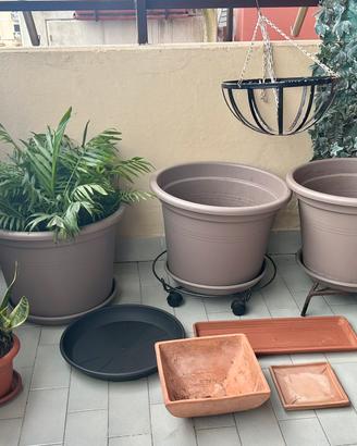 16 pz. a 50 € vasi+sotto vasi+ piante v.👇