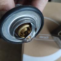 termostato Ford transit 