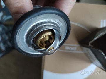 termostato Ford transit 