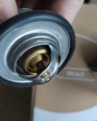 termostato Ford transit 