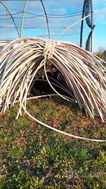 ULTIMI OGGETTI ORTO E GIARDINO