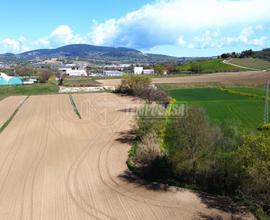 Terreno agricolo a Castelfidardo