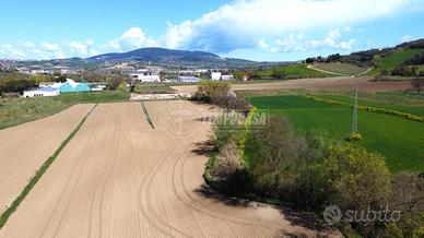 Terreno agricolo a Castelfidardo