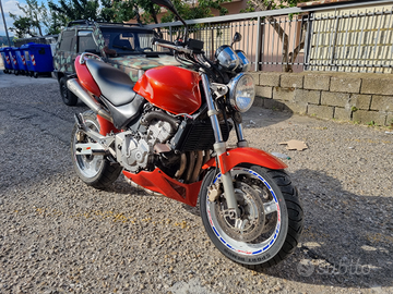 Honda hornet