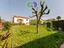 Immagine 29