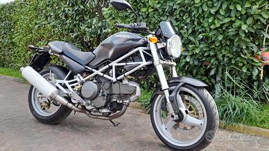 ducati monster