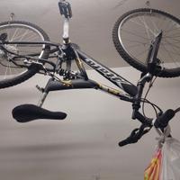 Due bici Duglas e Atlas a 60 euro l'una 