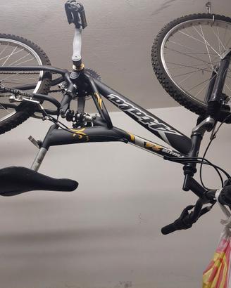 Due bici Duglas e Atlas a 35 euro l'una 