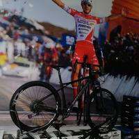 2023 bottecchia ortless carbonio 29 1700euro sx-gx