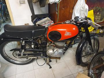 Parilla 125 , anno 1955