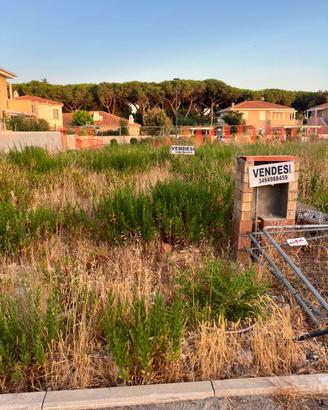 Marina di Cecina, Terreno edificabile con progetto