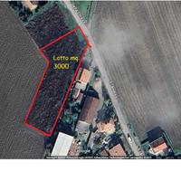 Terreno edif.villa mono/ bifamiliare a Busseto