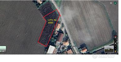 Terreno edif.villa mono/ bifamiliare a Busseto