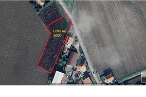 Terreno edif.villa mono/ bifamiliare a Busseto