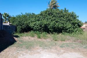 Terreno edificabile a Riola Sardo