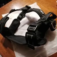 Pettorina ad "H" DUOMM