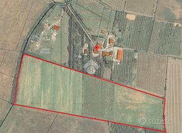 TER. AGRICOLO A VALSAMOGGIA