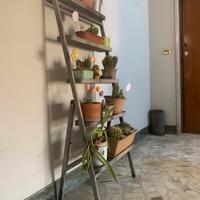 Scaletta decorativa  Ikea