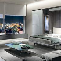 MOBILE LETTO A SCOMPARSA SOFà C05 MOLTENI A ROMA