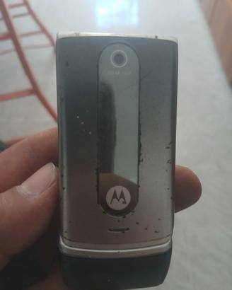 Motorola 