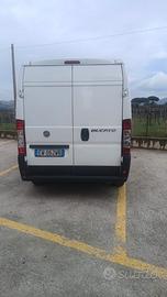 DUCATO FIAT