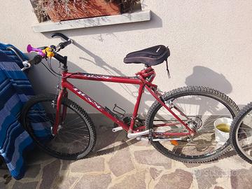 bicicletta