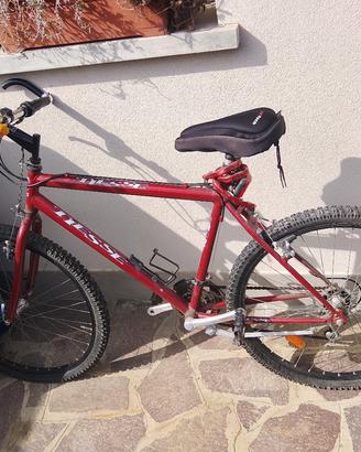 bicicletta