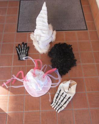 Carnevale