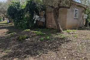 Casa in immersa nel verde
