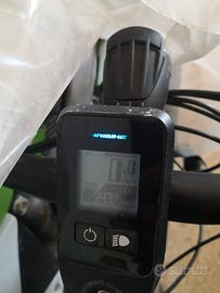 Bici elettrica