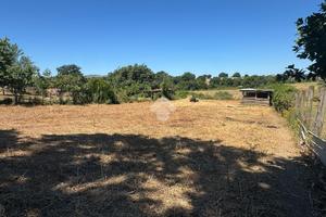 TER. AGRICOLO A ANGUILLARA SABAZIA