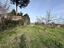 Immagine 10