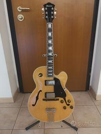 Ibanez fg 100