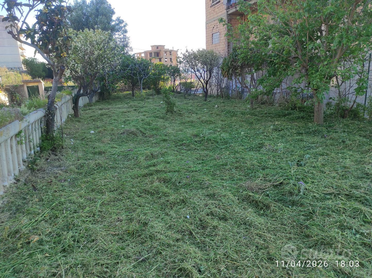 Terreno agricolo - Vista 5