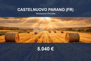 Immobile in asta di 5957 m² a Castelnuovo Parano