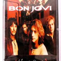 Musicassetta originale del 1995-Bon Jovi-These day
