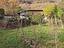 Immagine 15