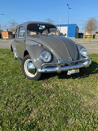 Volkswagen maggiolino 1964 pronto da usare