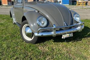 Volkswagen maggiolino 1964 pronto da usare