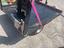 Immagine 29