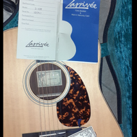 Larrivee chitarra acustica D03r